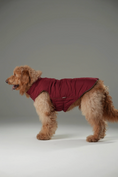 Load image into Gallery viewer, Reversible Dog Vest Jacket - Red Brown
