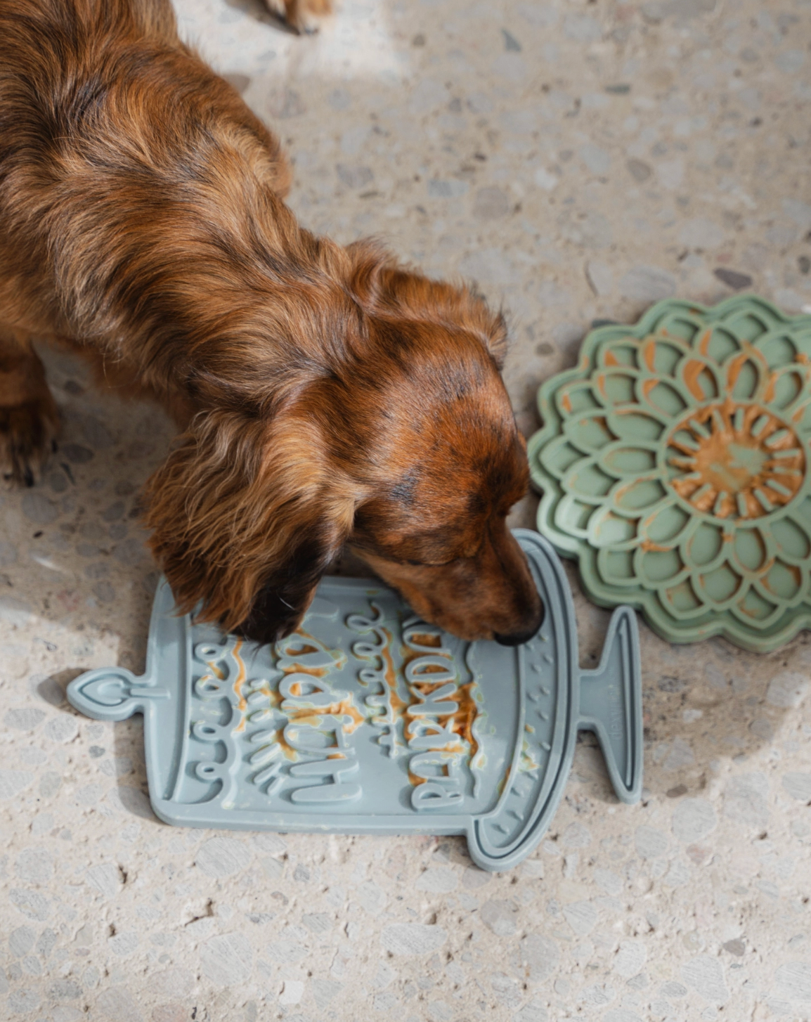 Barkday Bash Enrichment Lick Mat