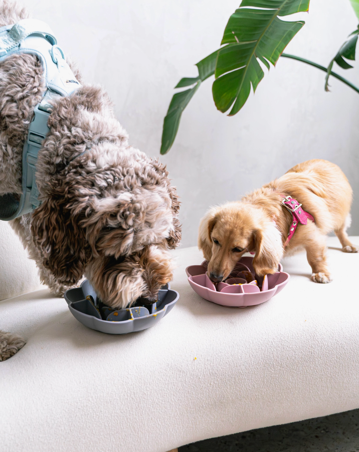 Flower Slow Feeder - Grey