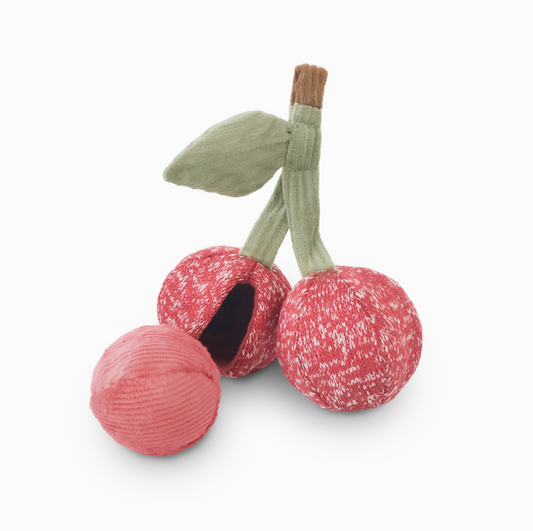 Cherry Pop//Enrichment Dog Toy