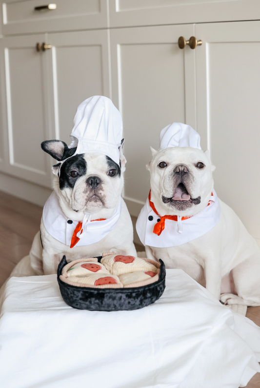 Deep Dish Pizza//Enrichment Dog Toy