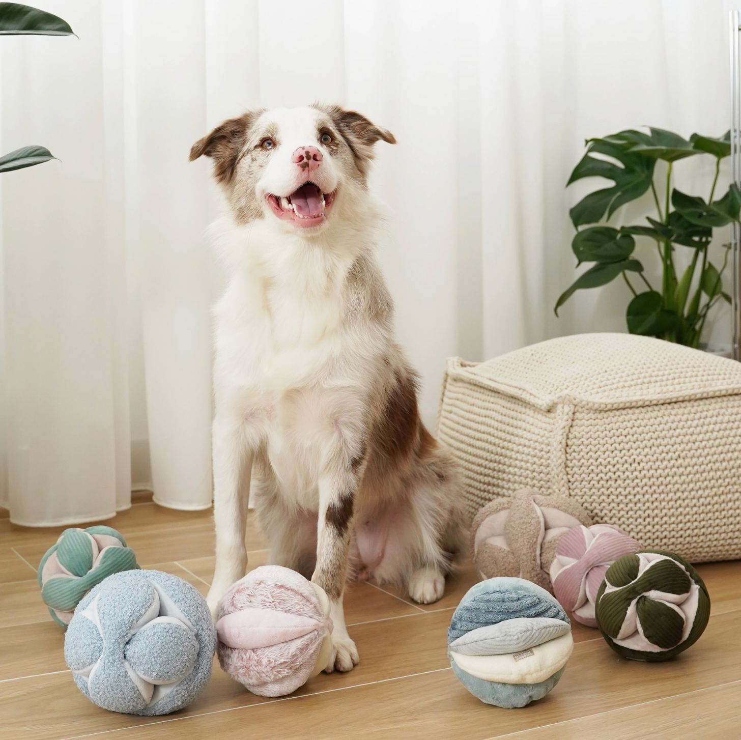 Monti*//Enrichment Toy