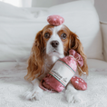 Load image into Gallery viewer, Saucisson Sec//Enrichment Dog Toy
