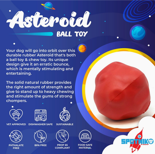Asteroid Rubber Dog Chew Toy For Heavy Chewers | Red Retrieving Toy | USA Made