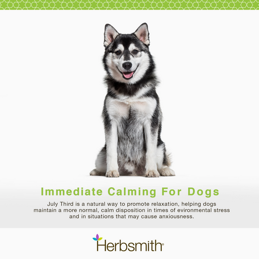 Immediate Calming for Dogs