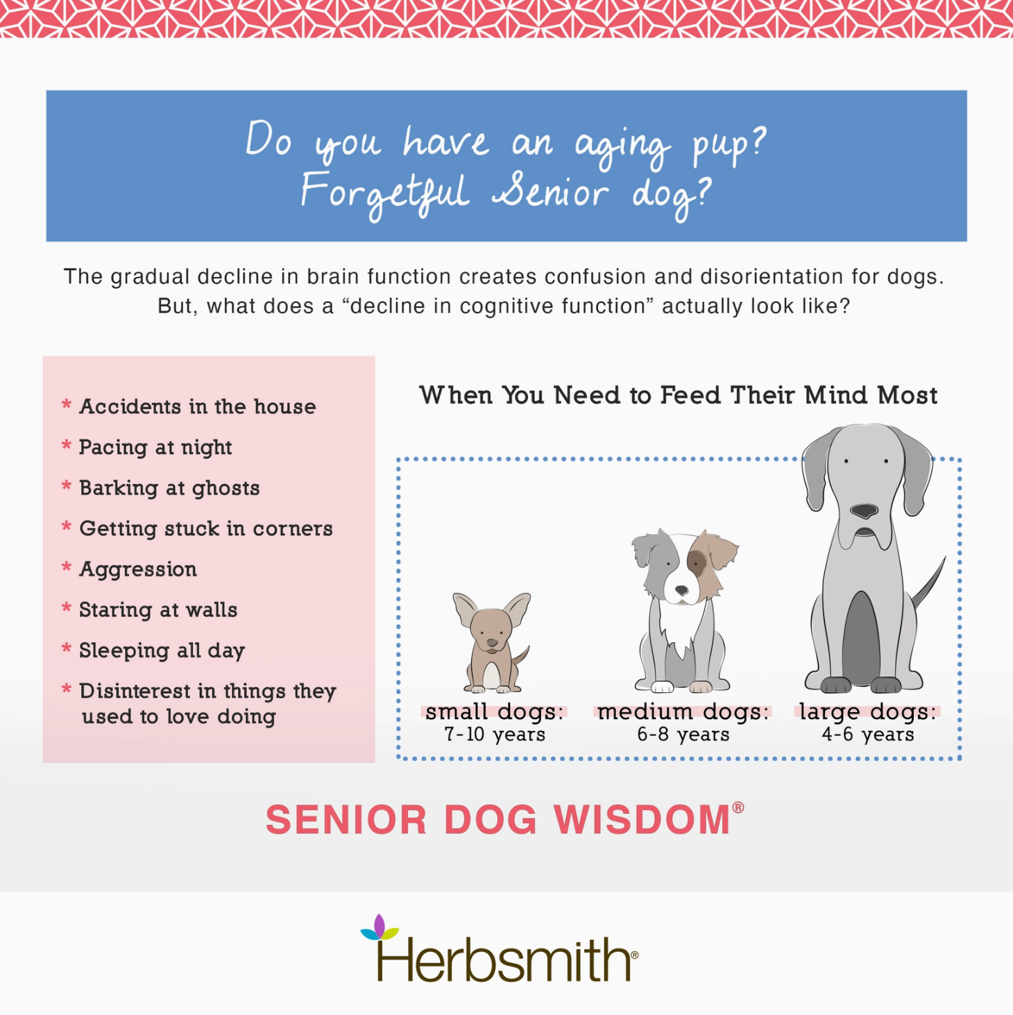 Senior Dog Wisdom - Cognitive Support For Aging Dogs