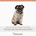 Load image into Gallery viewer, Eye & Vision Support for Dogs
