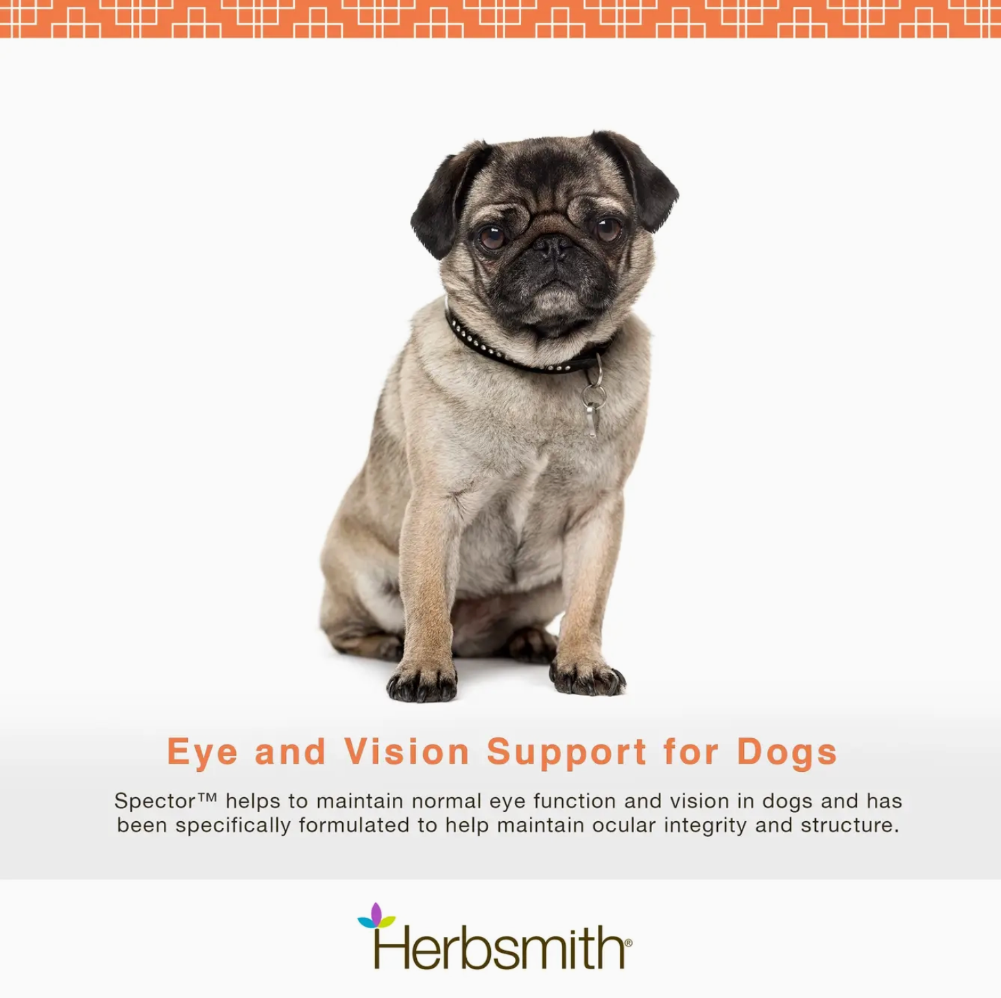 Eye & Vision Support for Dogs