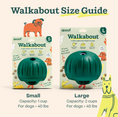 Load image into Gallery viewer, Walkabout

