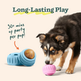 Load image into Gallery viewer, Woof Pupsicle Birthday Pops Refills
