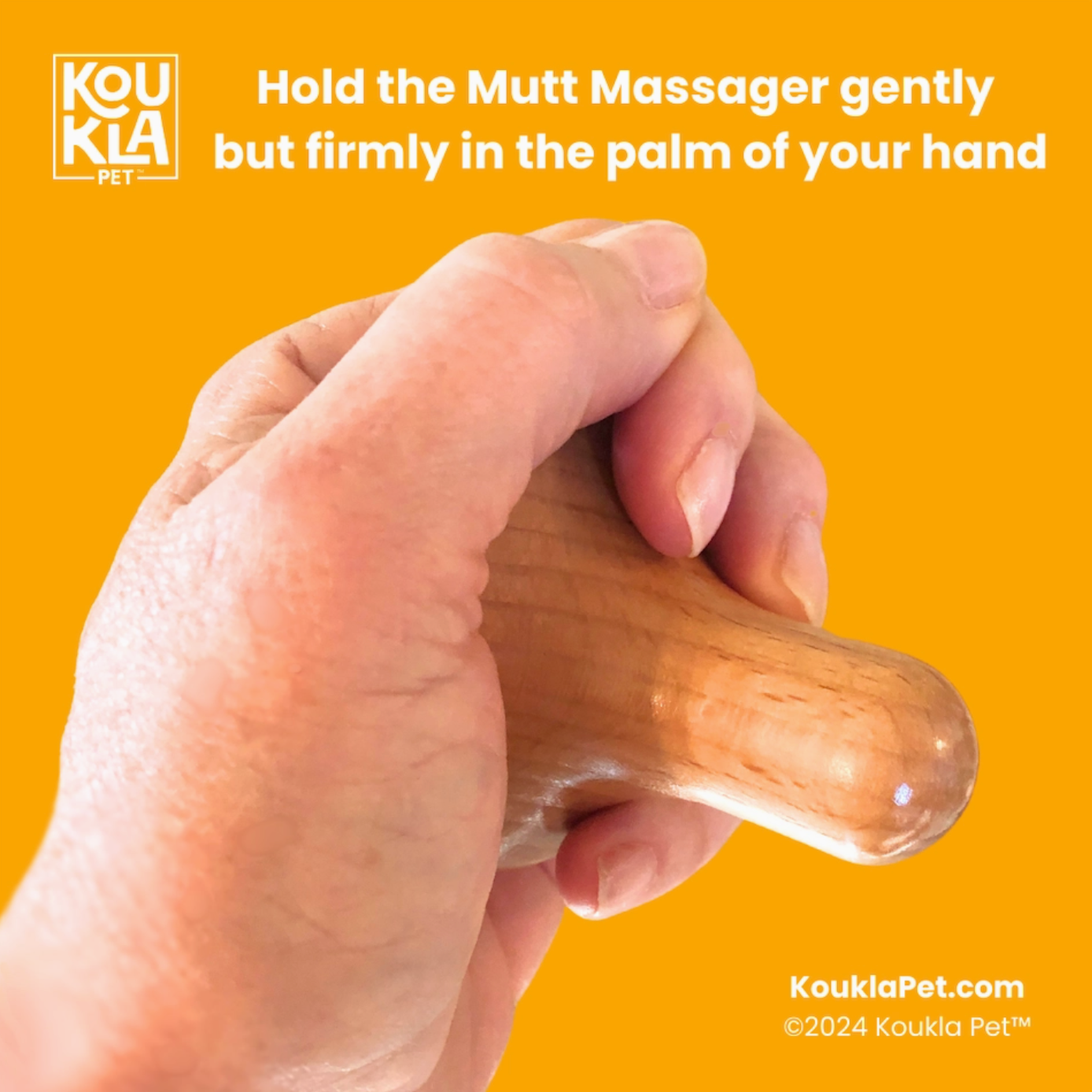 Bow Wow Bliss® Mutt Massager Doggy Relaxation Kit
