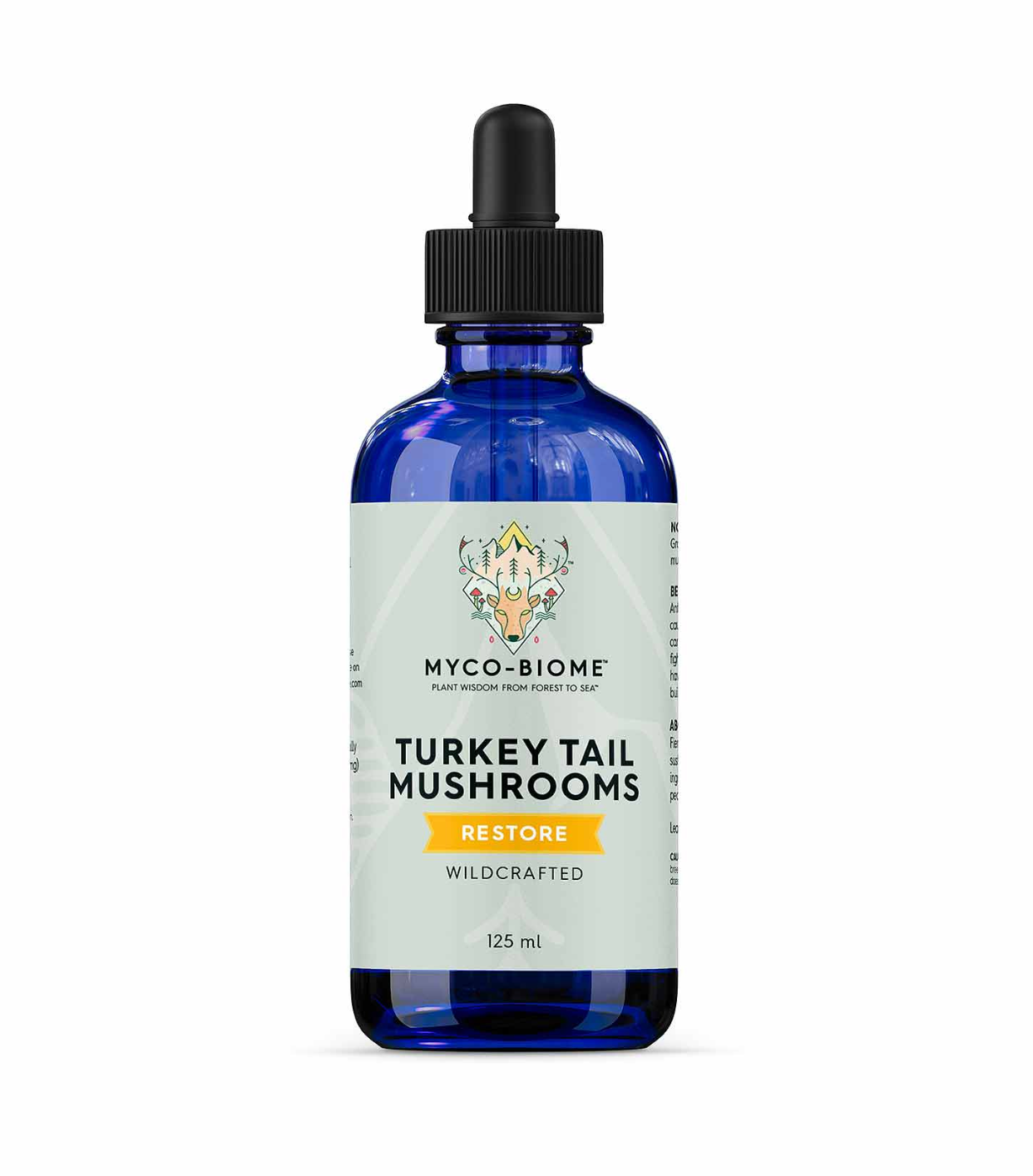 Turkey Tail Mushrooms | Liquid Extract