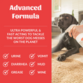 Load image into Gallery viewer, Skouts Honor - Severe Mess Stain & Odor Advanced Formula 35oz
