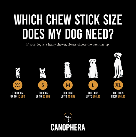 Real Coffee Tree Wood Dog Chew