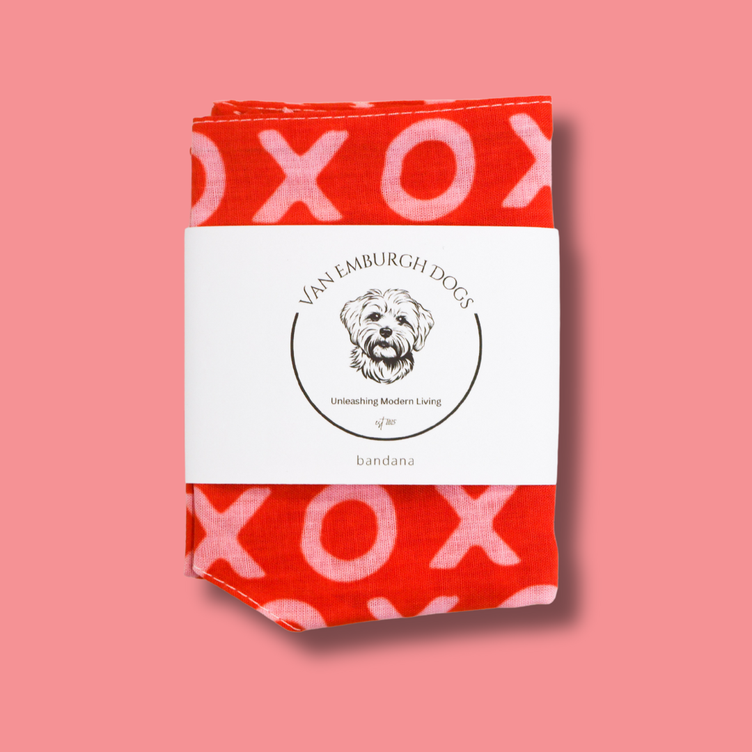 XOXO Bandana