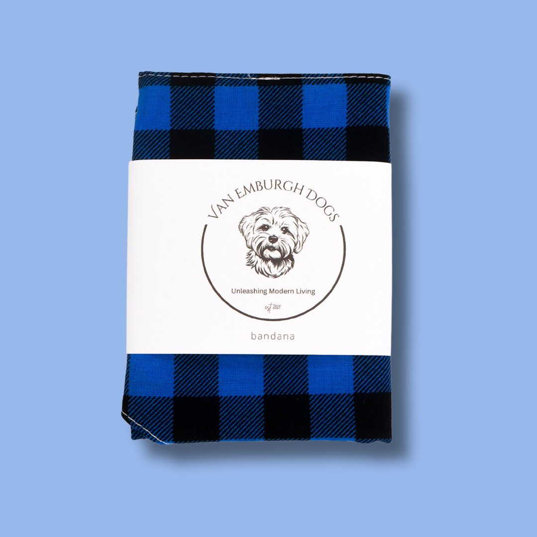 Blue and Black Bold Plaid Bandana
