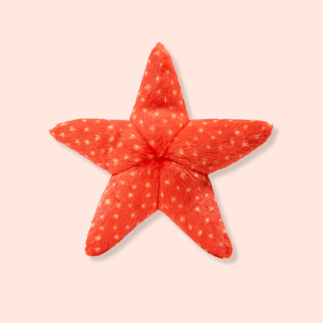 Ziggy Starfish