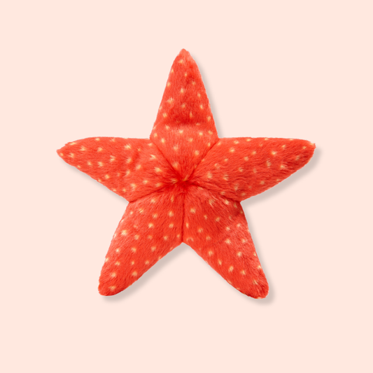 Ziggy Starfish
