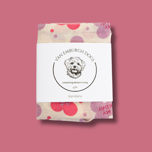 Pink Birthday Bandana