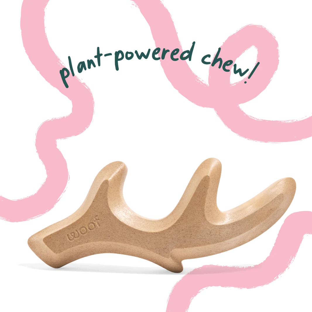 WOOF Honestchew - Antler