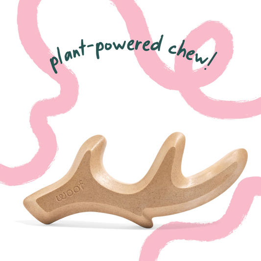 WOOF Honestchew - Antler