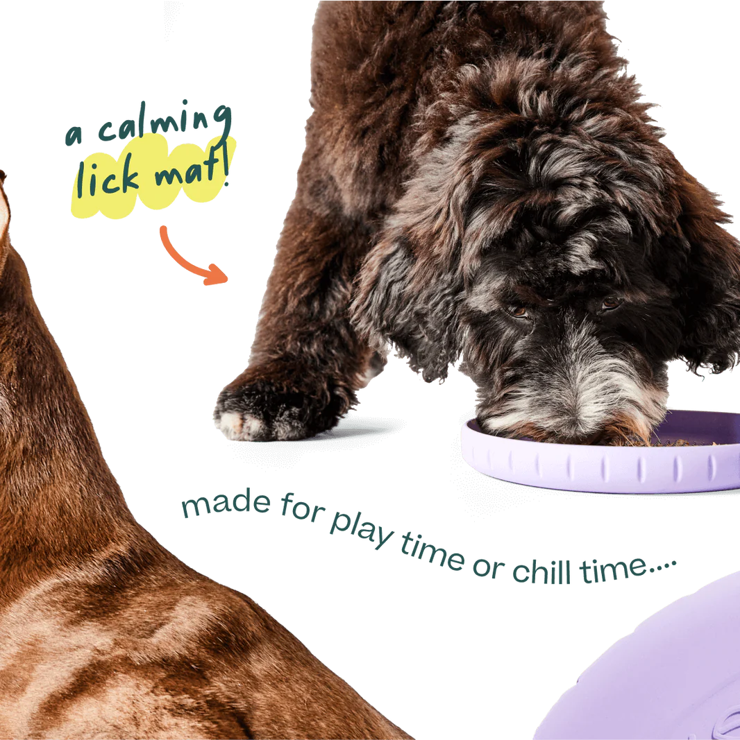 Fly n' Fetch - Woof