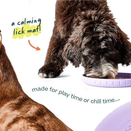 Fly n' Fetch - Woof