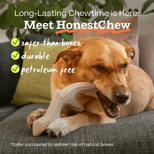 WOOF Infinity Honestchew