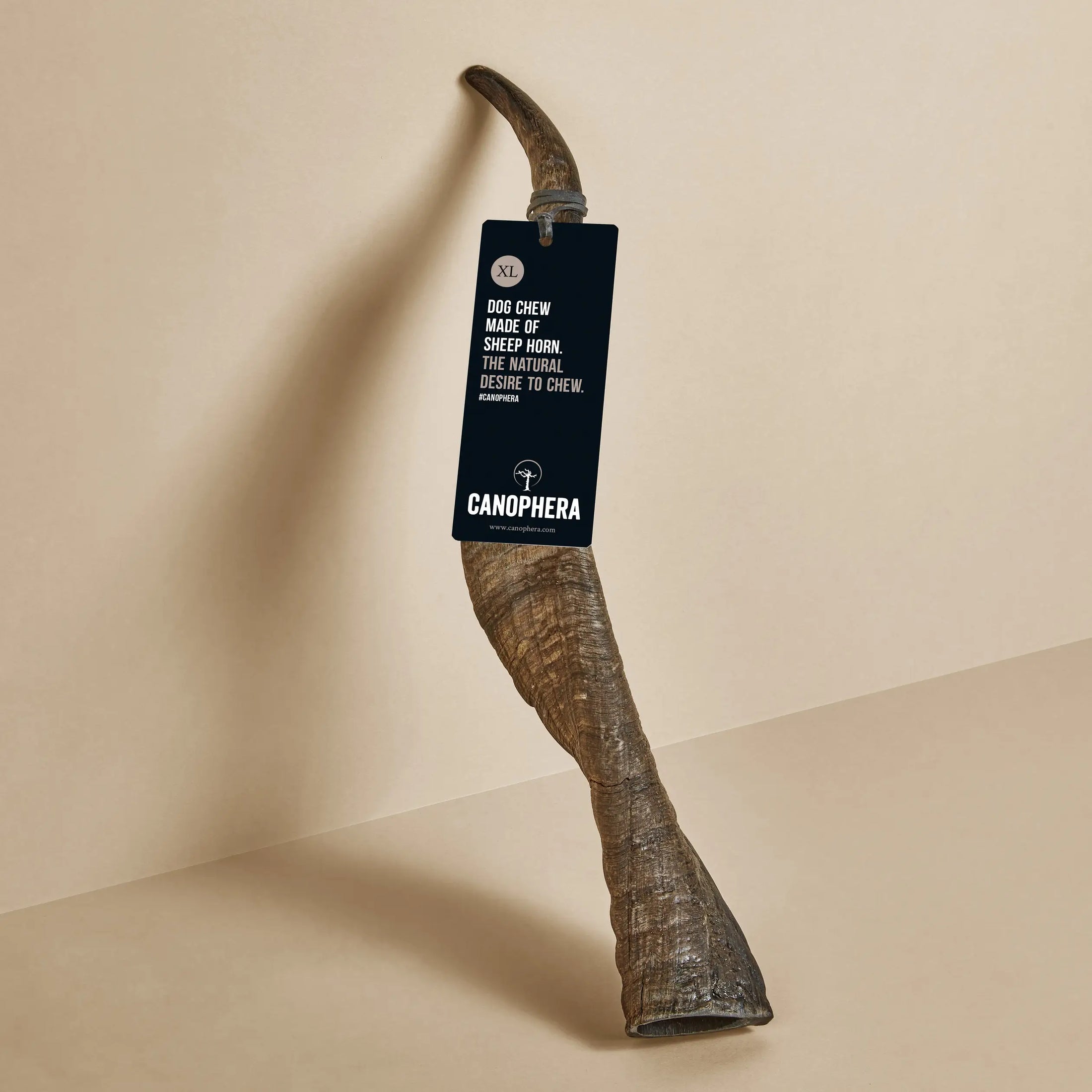 Sheep Horn Dog Chew