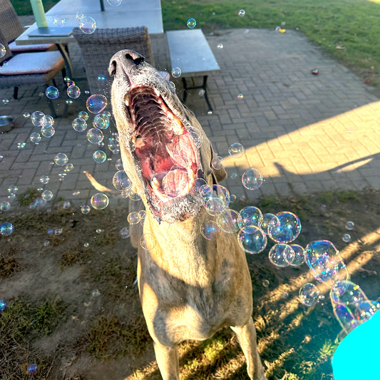 Puppy Love Bubbles
