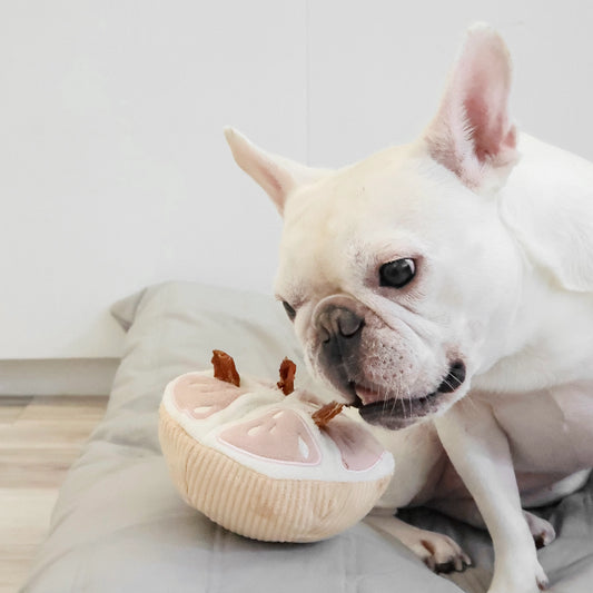 Grapefruit // Enrichment Dog Toy // Snuffle Toy