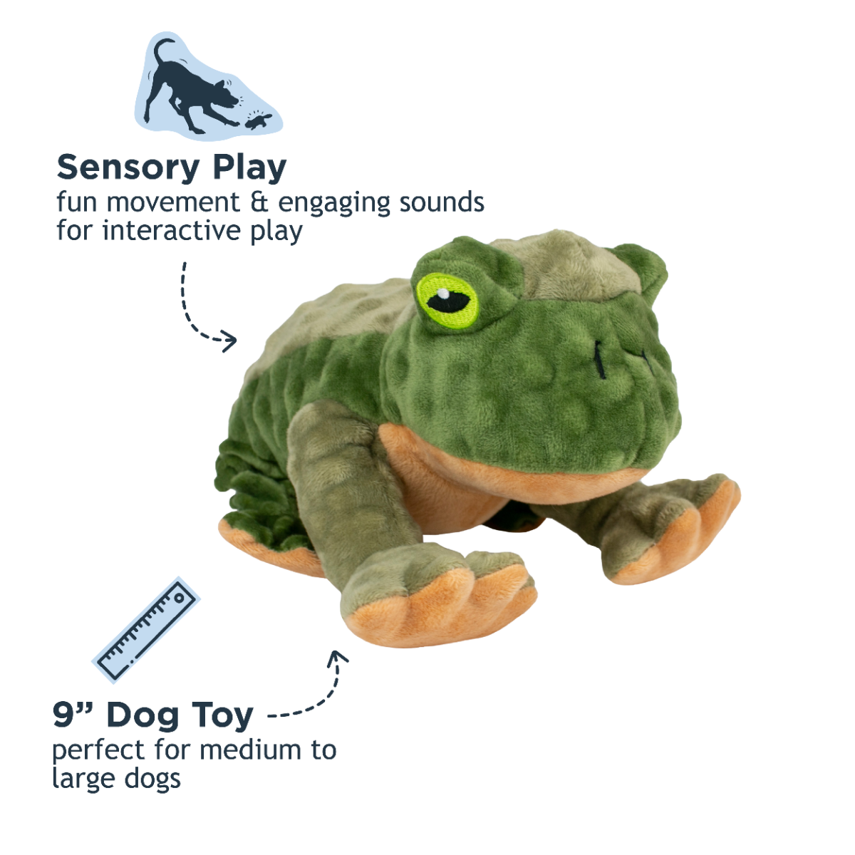 Tall Tails Animated Frog