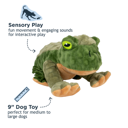 Tall Tails Animated Frog