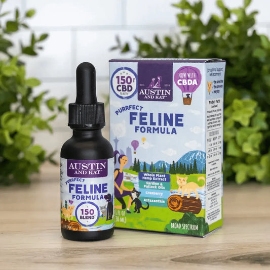 CBD Oil for Cats