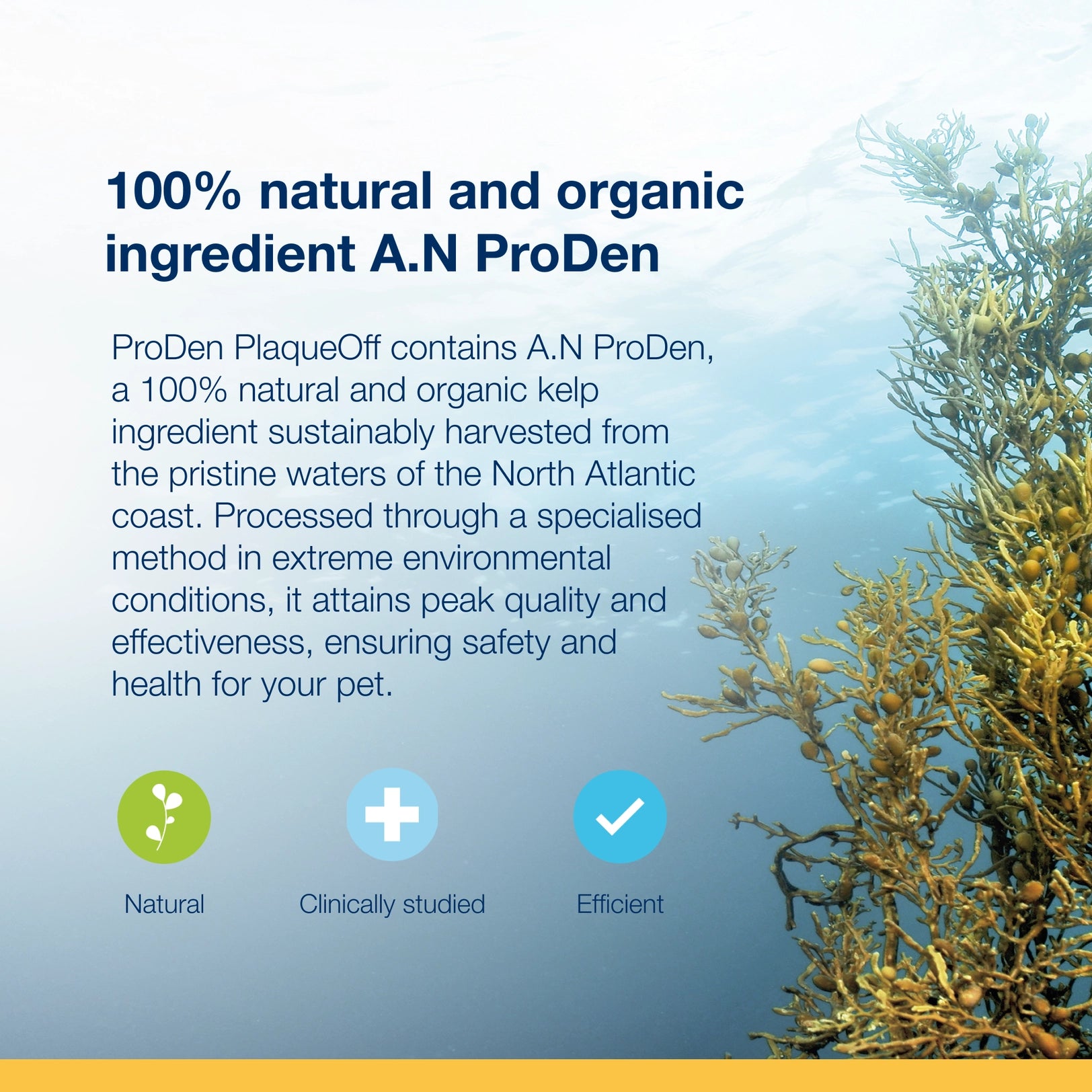 PRODEN DOG & CAT PLAQUEOFF POWDER 420 GRAMS MINI TUB