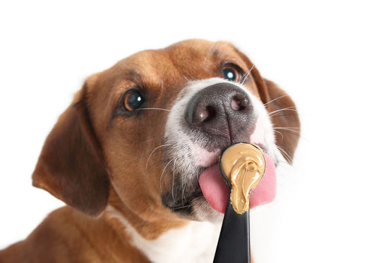 "Peanut Butter Lover" Bundle