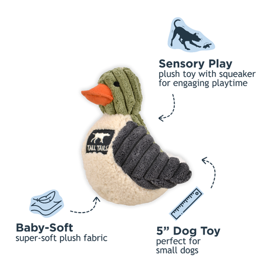 Tall Tails Duckling with Squeaker