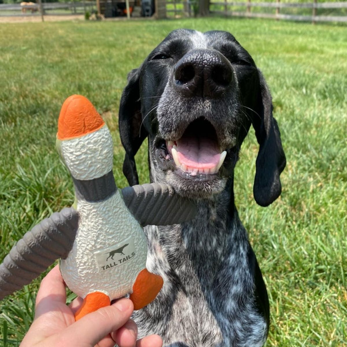 Tall Tails Duck Latex Squeaker Dog Toy