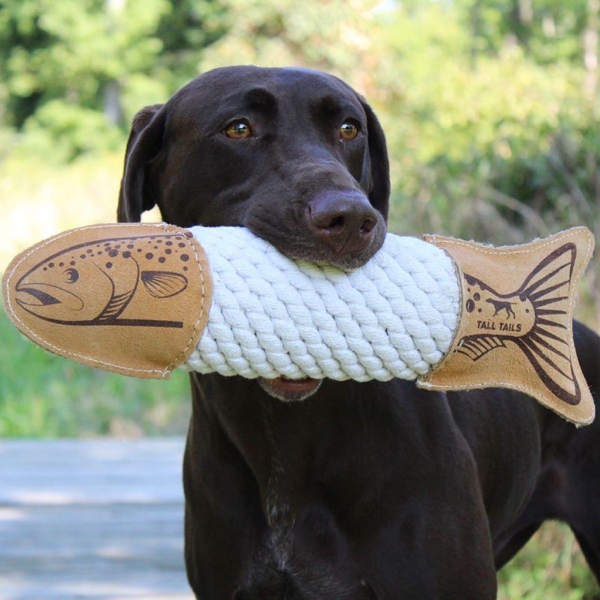 Natural Leather Trout Rope Tug Dog Toy