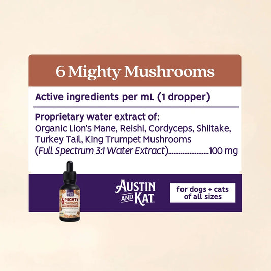 Austin & Kat - 6 Mighty Mushrooms