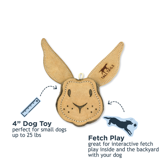 Scrappy Rabbit Dog Toy