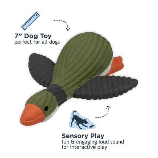 Tall Tails Duck Latex Squeaker Dog Toy