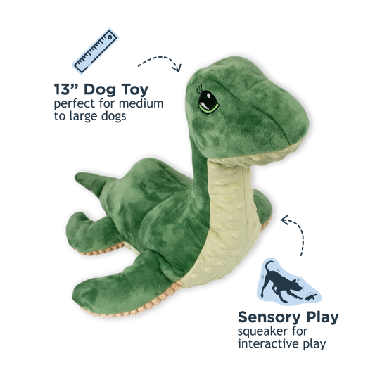 Nessie with Squeaker Dog Toy