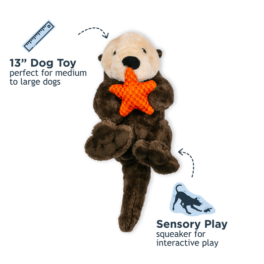 Tall Tails Otter Rope Body Dog Toy