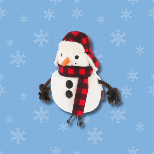 Home For The Holidays - Blizzard Buddy