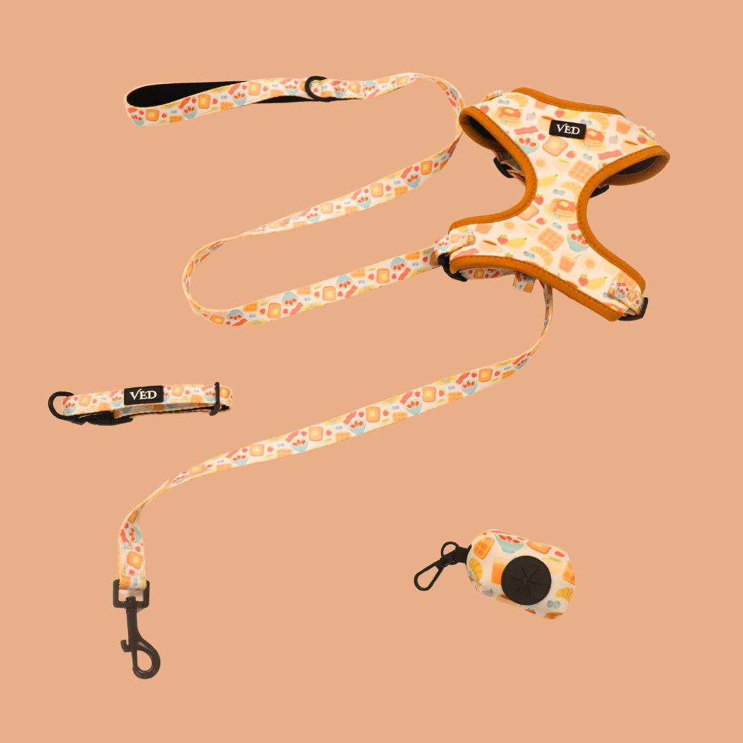 Brunch Harness