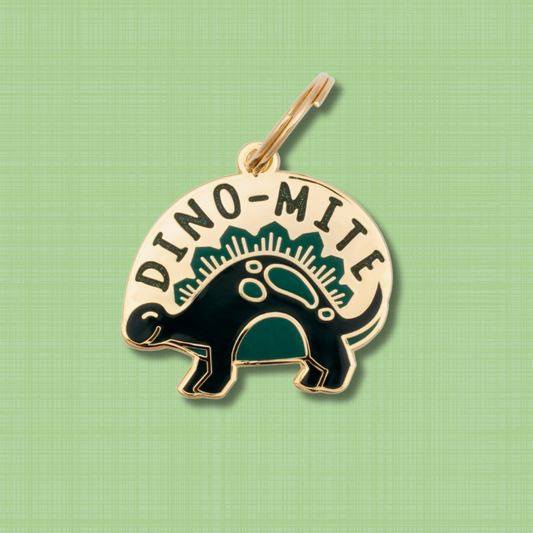 Dino-mite Pet Id Tag