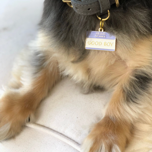 Good Boy Pet Id Tag