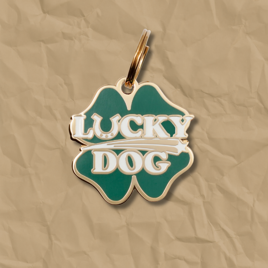 Lucky Dog Pet Id Tag
