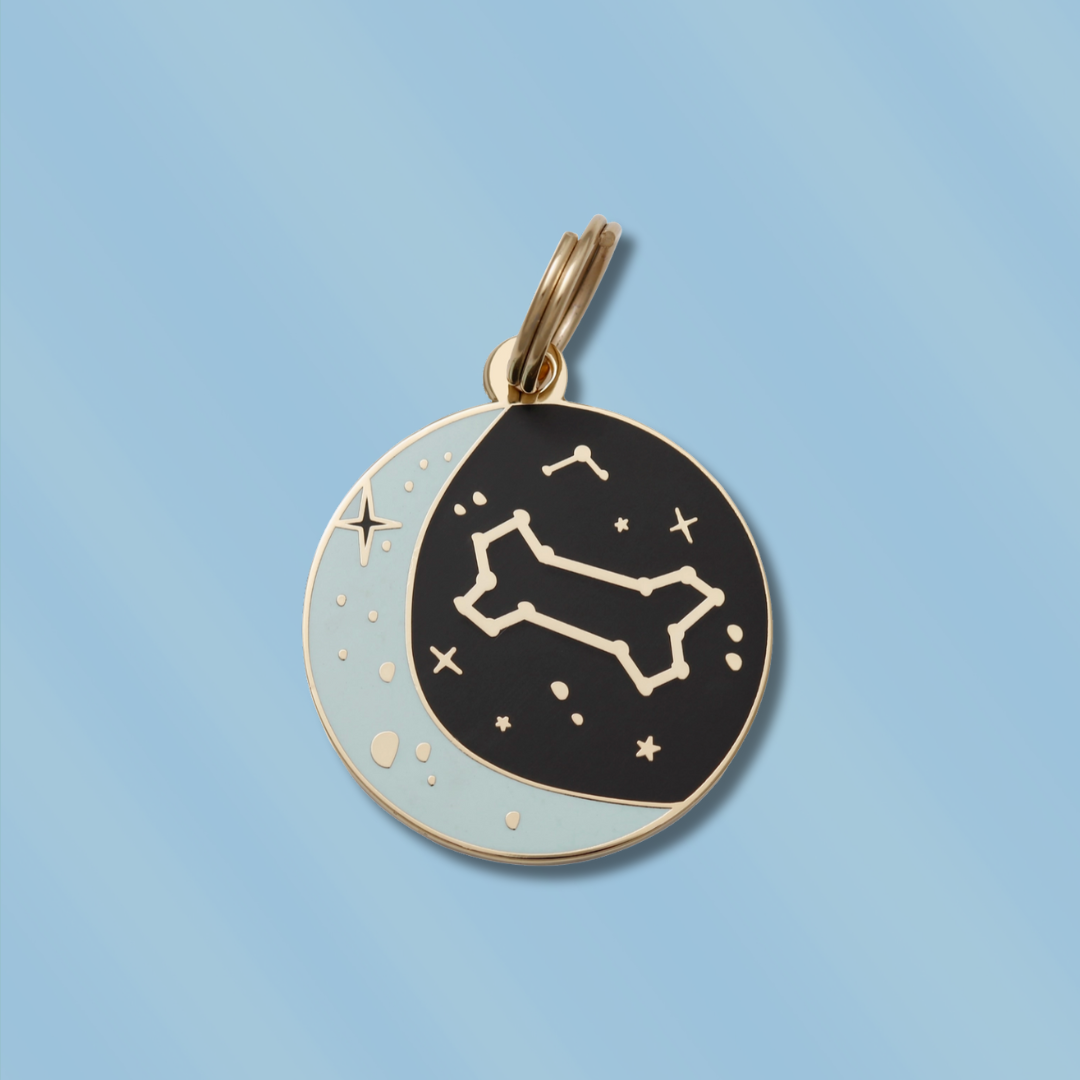 Zodiac Pet Id Tag